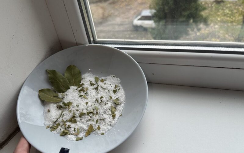 dubuo su druska ir lauro lapu