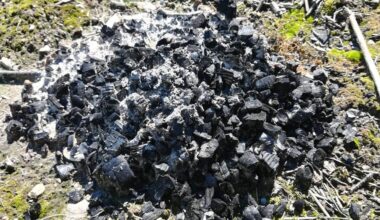 tinkamo mineralinio trąšo pasirinkimas