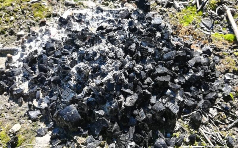 tinkamo mineralinio trąšo pasirinkimas