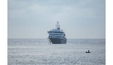 kruizinio laivo hantaviruso protrūkio grėsmė