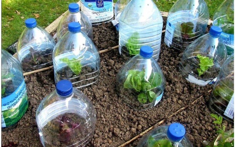 močiutė perdirba plastikinius butelius