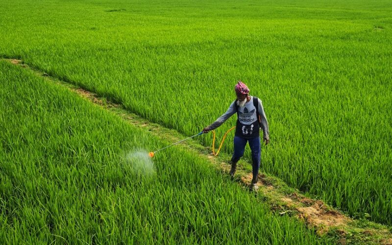 didelio pesticidų kiekio maisto produktų sąrašas