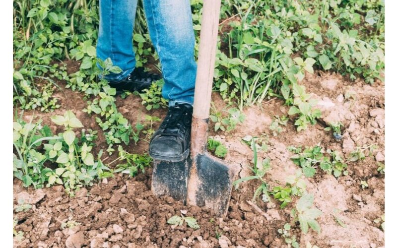 kaip nenuskęstų, kol neįmirkusi dirva suminkštės