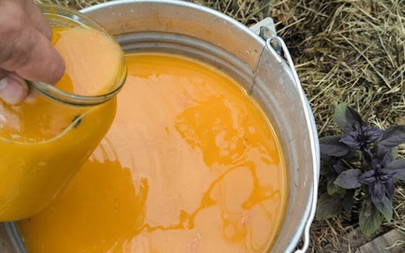 namuose paruoštas apelsinų tirpalas stabdo marą