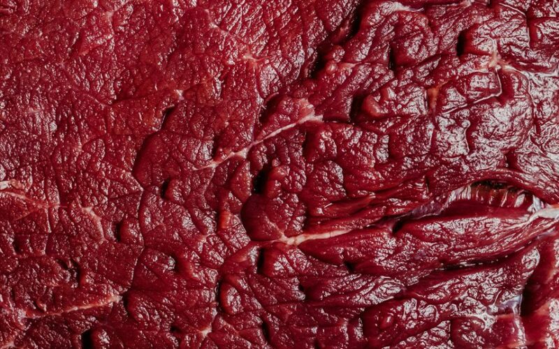 laboratorijoje užauginti dumbliai prilygsta jautienai pagal B12