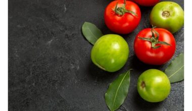subrandinti žalius pomidorus greitai