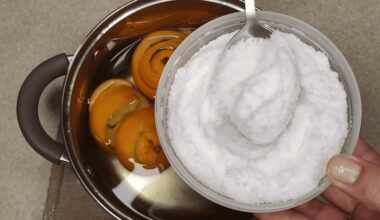 sūdytų apelsinų žievelių valiklis
