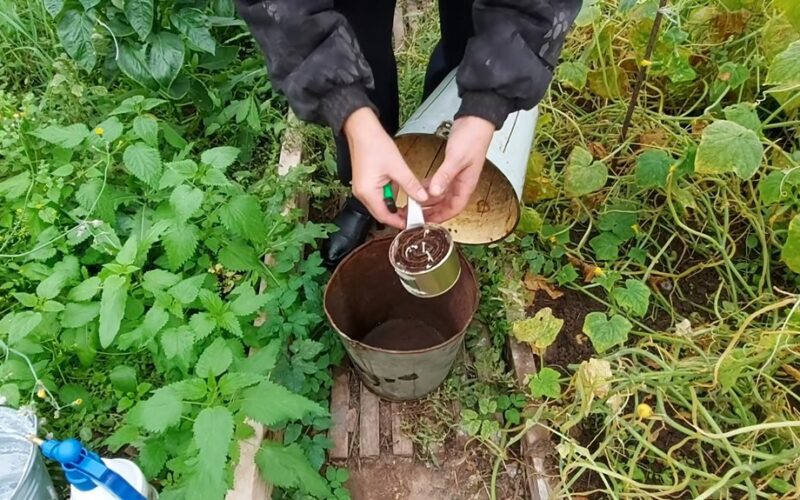 paprastas pasidaryk pats šiltnamio įrengimas