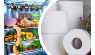 stebinantis šaldytuvo tualetinio popieriaus laikymas