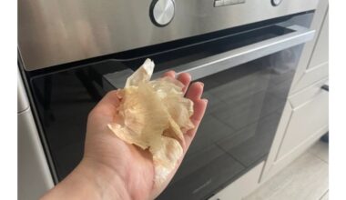 citrusinių vaisių žievelės ir svogūnų lukštai