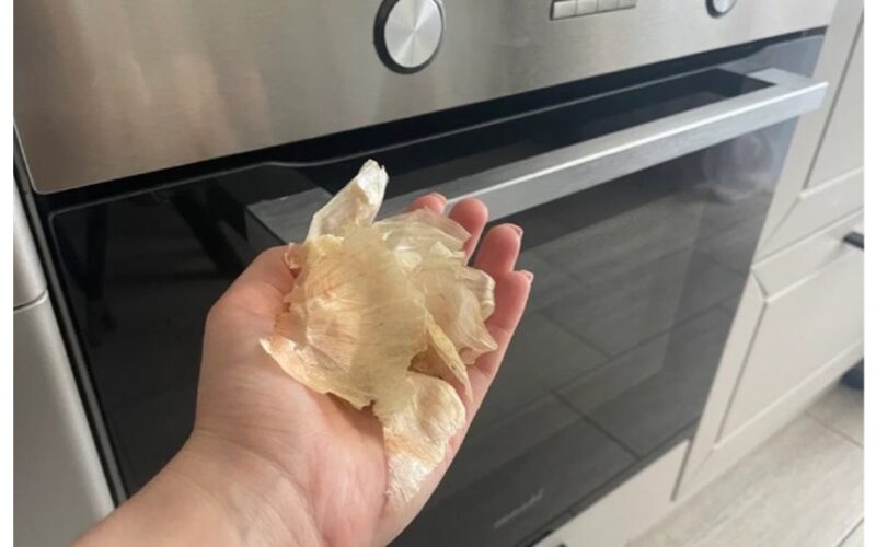 citrusinių vaisių žievelės ir svogūnų lukštai