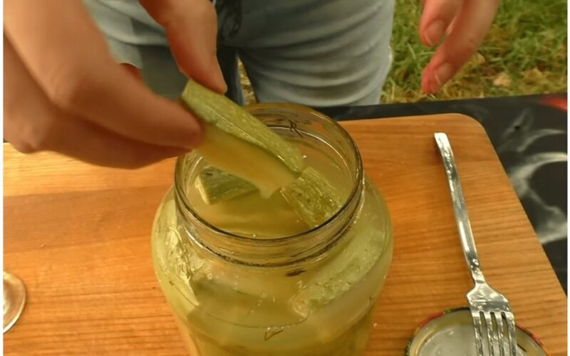 penkių dienų cukinijų fermentavimas