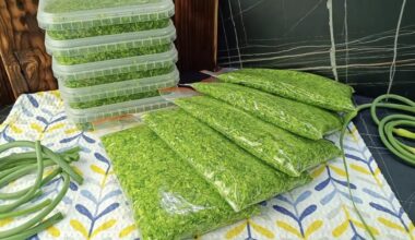 žiemai konservuoti česnakų žiedkočiai