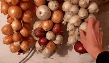 krikštamotė nukopijavo mano konservaciją