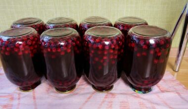 močiutės Liubos vyšnių kompotas
