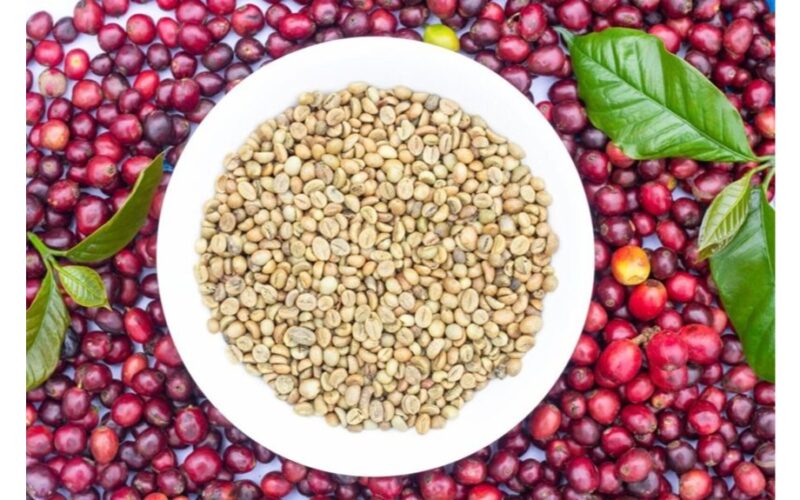 žalia kava įrodyta naudinga