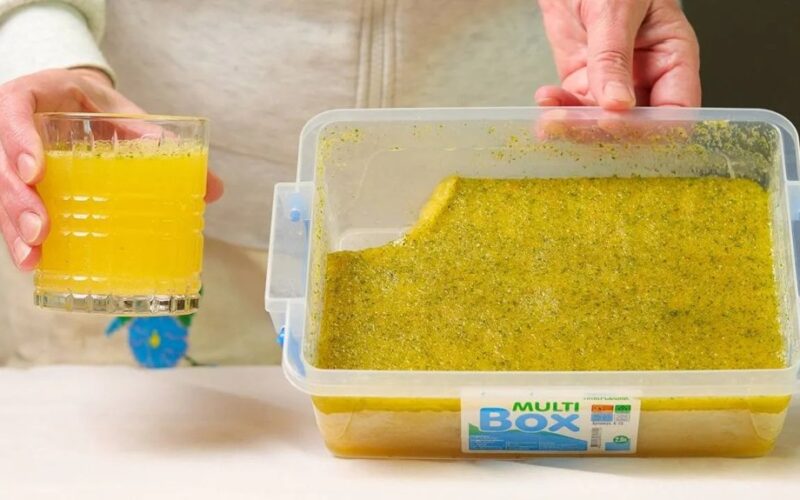 naminis natūralus žiemos mojito koncentratas