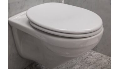 tualeto dangtį visada laikykite uždarytą