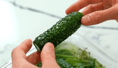 greiti traškūs aromatingi vienos dienos marinuoti agurkėliai