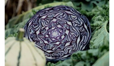 raudonieji kopūstai nebrangus širdies supermaistas
