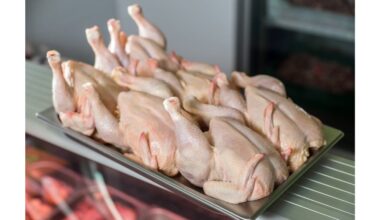 pašalinti antibiotikus iš vištienos