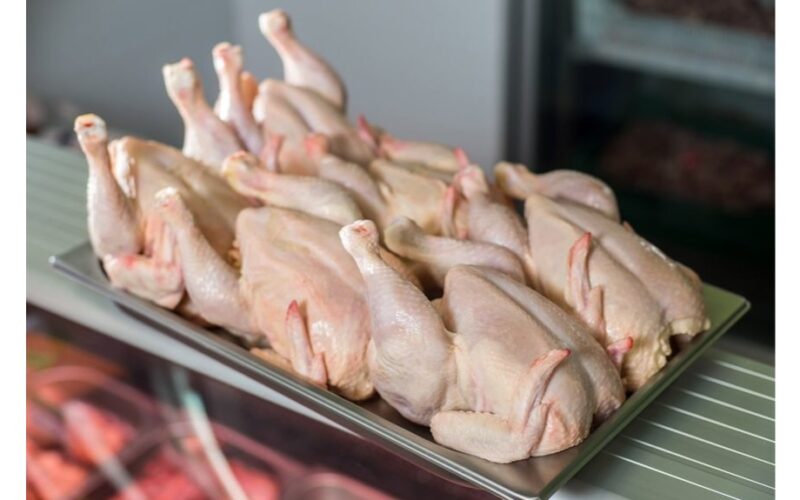 pašalinti antibiotikus iš vištienos