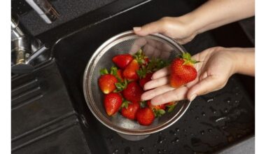 braškių sezono slapta taisyklė