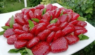 įspūdingas naminis braškių tartaletas