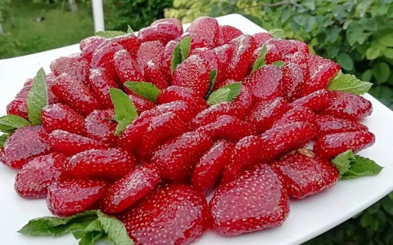 įspūdingas naminis braškių tartaletas