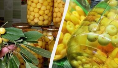 vyšnių liepos vitaminų kompotas konservavimas