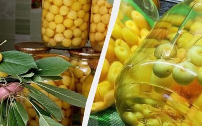 vyšnių liepos vitaminų kompotas konservavimas