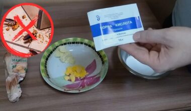 paskutinė vakarienė tarakonams