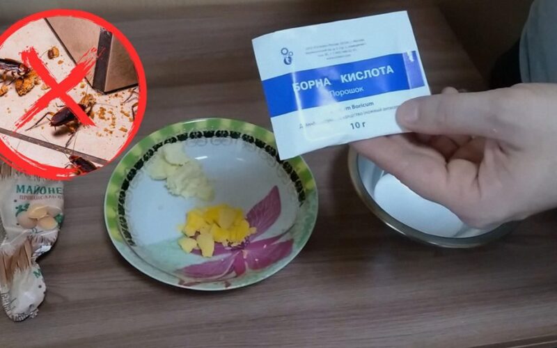 paskutinė vakarienė tarakonams