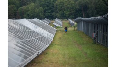 rekordinė saulės energijos gamyba paradoksas