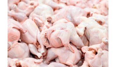 pašalinti antibiotikus iš vištienos