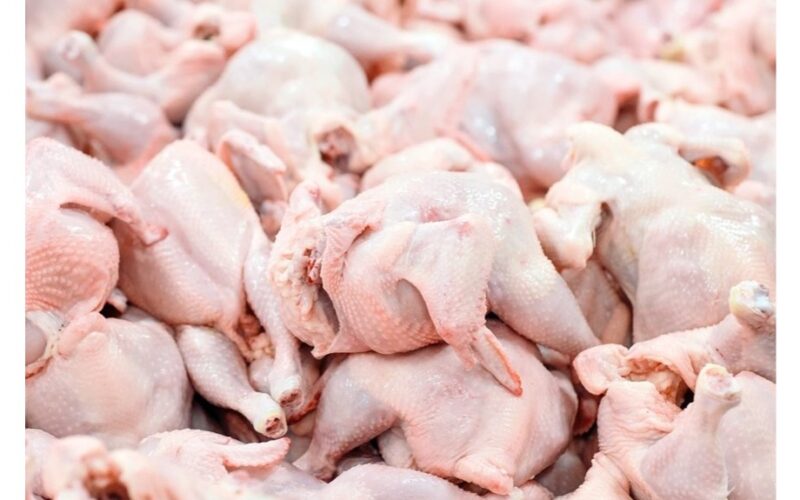 pašalinti antibiotikus iš vištienos