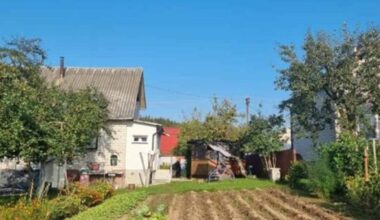 dirvožemį atgaivinantis daržovių tirpalas