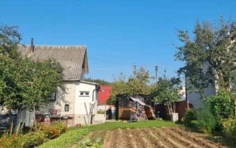 dirvožemį atgaivinantis daržovių tirpalas