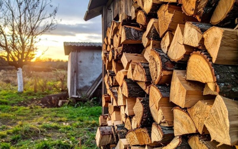 pagreitinti malkų džiovinimo procesą
