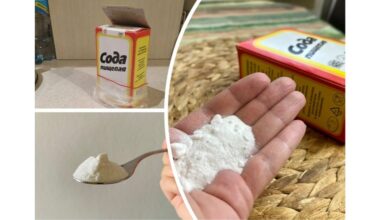 kepimo soda viskam