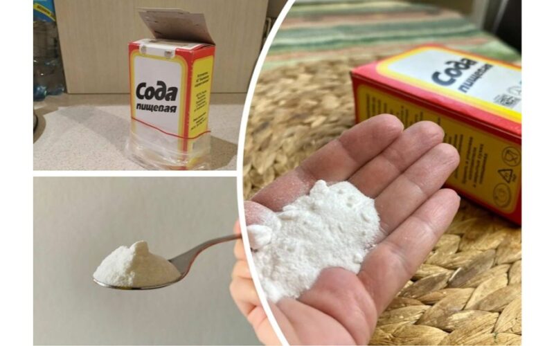 kepimo soda viskam