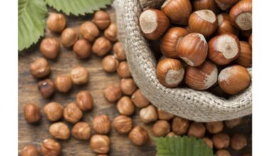 geriausia „Health Nut“ alternatyva