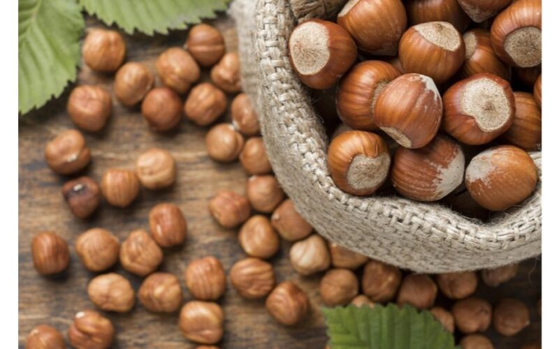 geriausia „Health Nut“ alternatyva