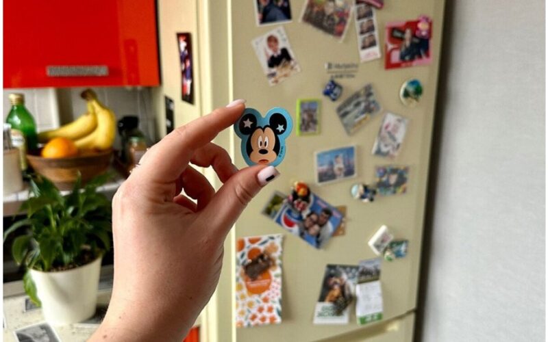 patikrink šaldytuvo magnetukus dabar