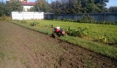 nesudėtinga sodininkystė gausūs derliai