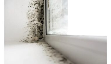 nėra likusio pelėsio garantuota