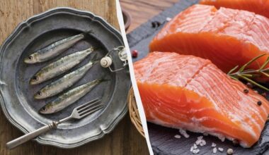 sardinės prieš lašišą omega 3