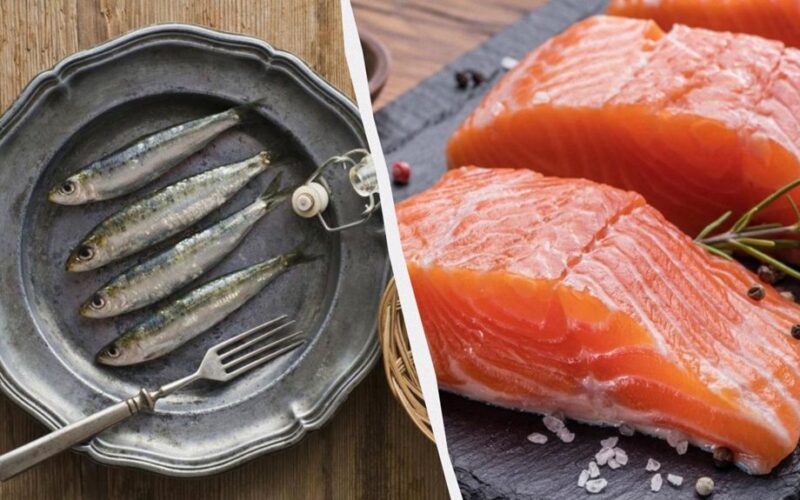 sardinės prieš lašišą omega 3