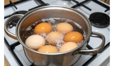 savaime besilupantys kiaušiniai metodas