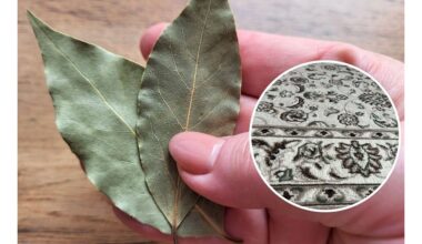 transformuojanti žolelių magija pasiekta